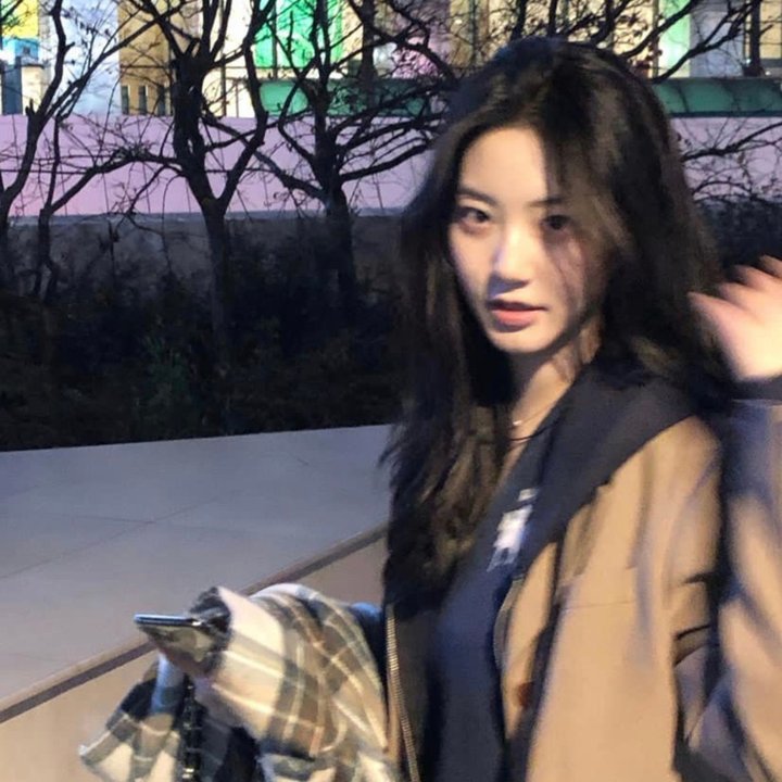 南方的愿望